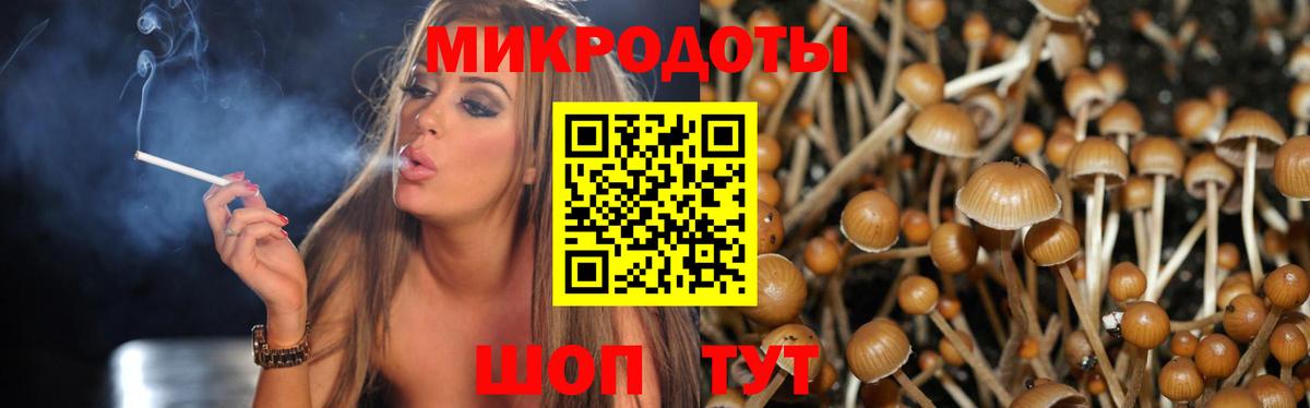 Псилоцибиновые грибы мицелий Лангепас